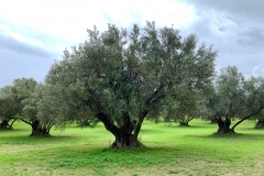 30_CONVEGNO_ADIT_2019